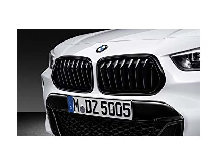 Решетки радиатора Perfromance F39
