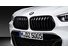 Решетки радиатора Perfromance F39