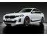 Решетка радиатора Performance G32 LCI